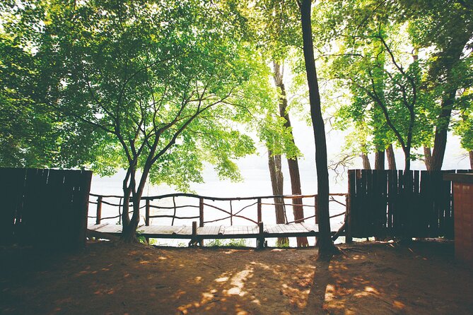 Day Trip to Nami Island with The Garden of Morning Calm - Should you book the Nami Island and Garden of Morning Calm tour?
