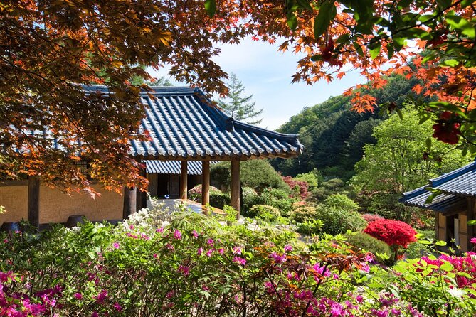 Day Trip to Nami Island with The Garden of Morning Calm - Four hours among Nami Island’s tree roads