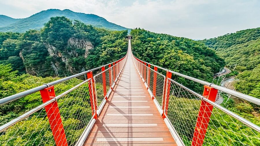 DMZ Insider Tour: 3rd Tunnel, NK Defector Meet & Red Bridge - The Imjin River boat option