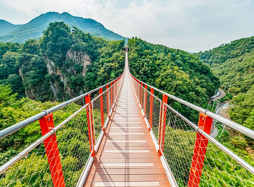 DMZ Insider Tour: 3rd Tunnel, NK Defector Meet & Red Bridge - Transport, timing, and the $50 price