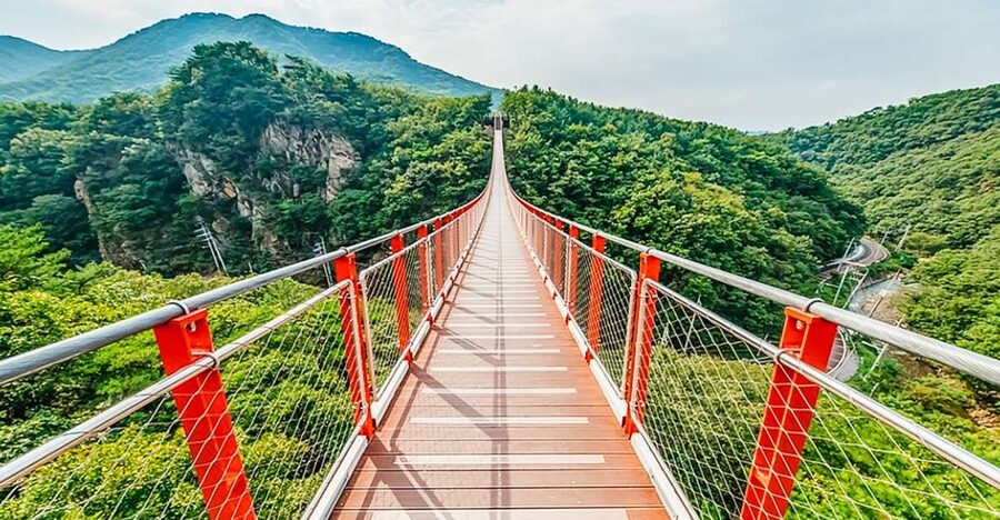 DMZ Insider Tour: 3rd Tunnel, NK Defector Meet & Red Bridge - Choosing between the half-day and full-day options