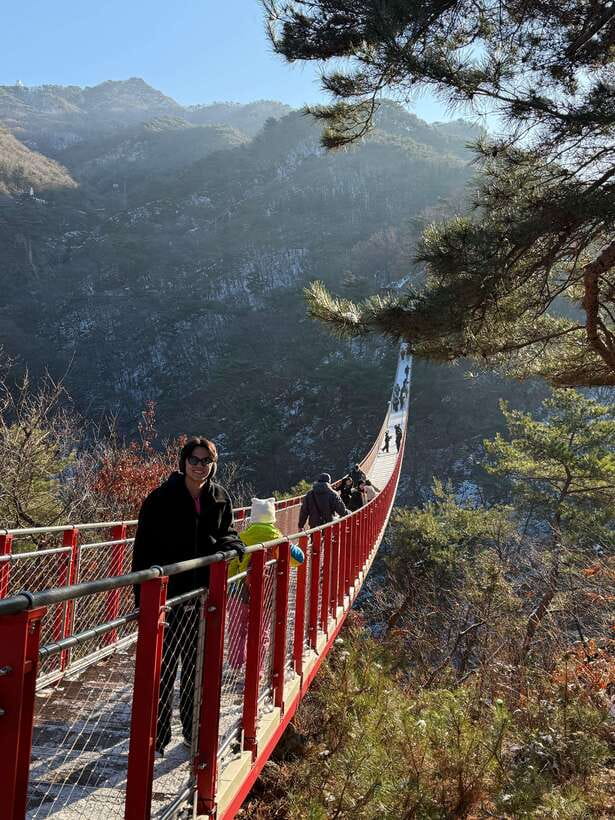 DMZ; NK Defector, 3rd Tunnel, Suspension Bridge,Hotel pickup - Freedom Bridge and the checkpoint into the DMZ