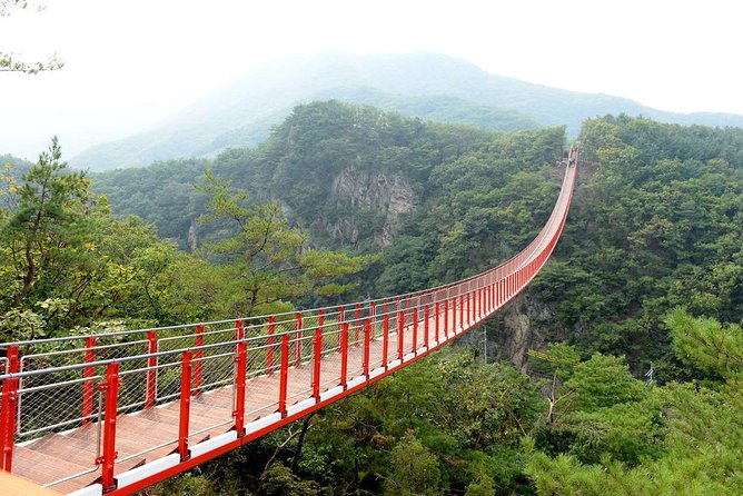 DMZ Tour: 3rd Tunnel, Option(Suspension Bridge, Boat) from Seoul - Looking north from Dora Observatory