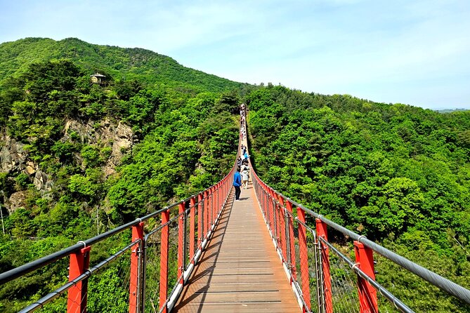 DMZ Tour from Seoul – Optional Suspension Bridge Experience - Why the DMZ is worth your Seoul morning