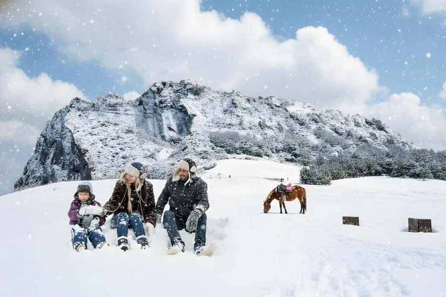 East Jeju: Day Tour with Seongsan Peak & Haenyeo Performance - Key points to know before booking