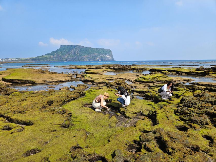 East Jeju: Day Tour with Seongsan Peak & Haenyeo Performance - Seasonal scenery and the coastal stop