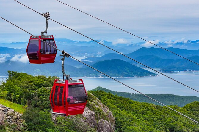 Enchanting Oedo Island Day Tour from Busan with Windy Hill - Why Oedo makes a worthwhile day from Busan