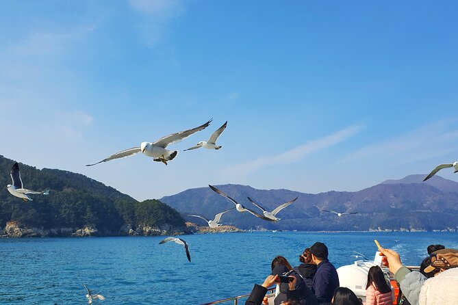 Enchanting Oedo Island Day Tour from Busan with Windy Hill - Windy Hill, grass, sea, and a short pause