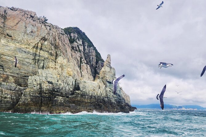 Enchanting Oedo Island Day Tour from Busan with Windy Hill - Is $82.28 good value?