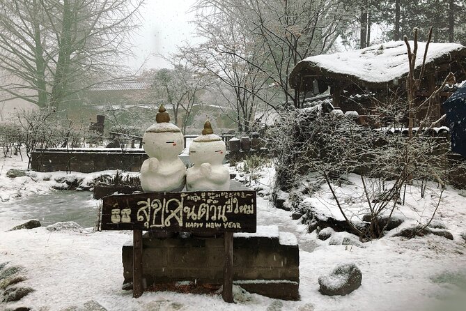 Eobi Ice Valley / Elysian Ski Resort / Nami Island - Who should book this winter tour?
