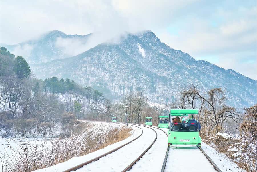 Eobi Ice Valley & Nami (+ Light Festival, Railbike, Alpaca) - What the Seoul transfer is really worth