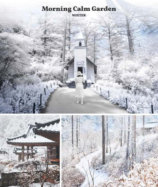 Eobi Ice Valley & Nami & Railbike & Petite & Morning Calm - The Garden of Morning Calm after dark