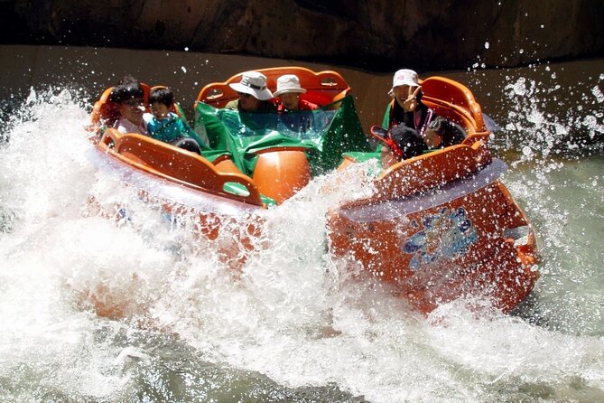 Everland Theme Park Admission Ticket with Transfer from Seoul - Choosing an early or late return