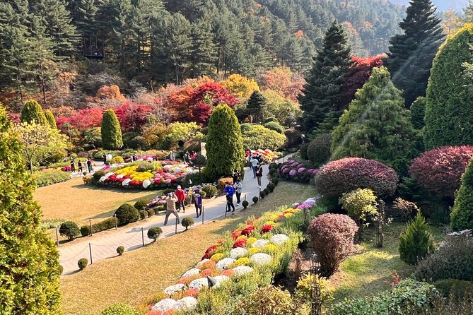 Four Seasons of Nami Island with Garden of Morning Calm Tour - The Garden of Morning Calm in 90 minutes
