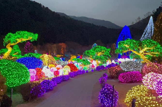 Four Seasons of Nami Island with Garden of Morning Calm Tour - Petit France and the extra stops