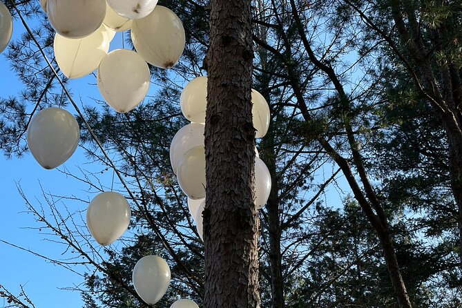 Four Seasons of Nami Island with Garden of Morning Calm Tour - What the $88 price really buys you