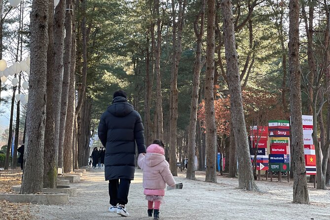 Four Seasons of Nami Island with Garden of Morning Calm Tour - Pickup, timing, and the pace of the day