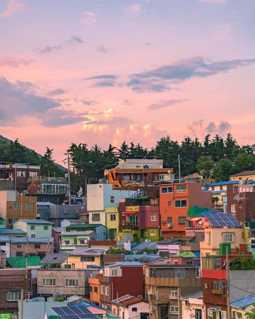 From Busan: Busan & Gyeongju One Day Tour - Cheomseongdae and the Story of Silla