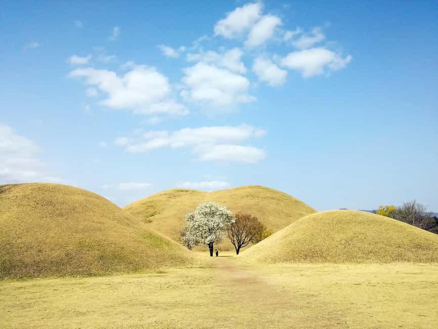 From Busan: Busan & Gyeongju One Day Tour - Guides, Group Size, and the Feel of the Day
