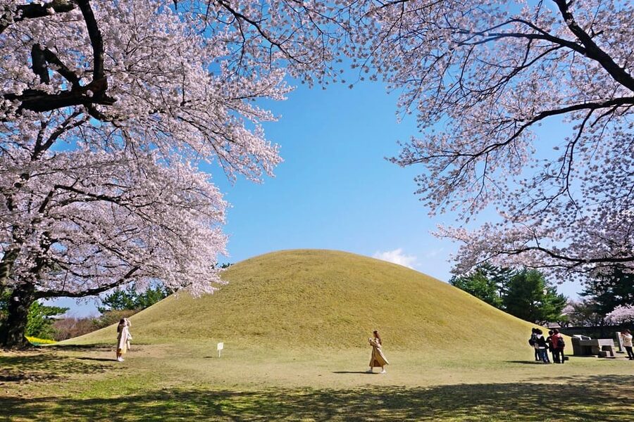From Busan: Echoes of Silla Gyeongju Historical Day Tour - Gyochon Village, where Gyeongju feels lived in