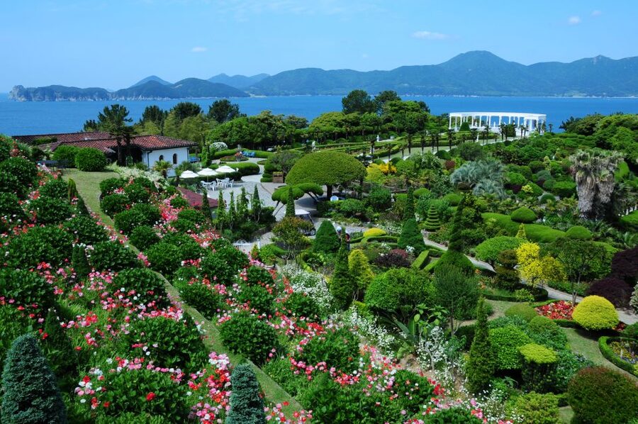 From Busan: Enchanting Oedo Island Day Tour with Windy Hill - Is $91 a fair price?