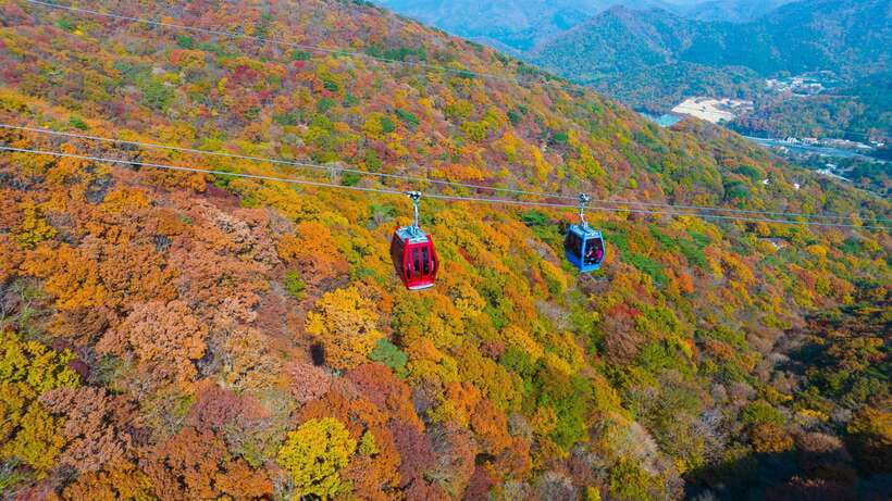 From Busan: Enchanting Oedo Island Day Tour with Windy Hill - Windy Hill gives you a quick coastal preview