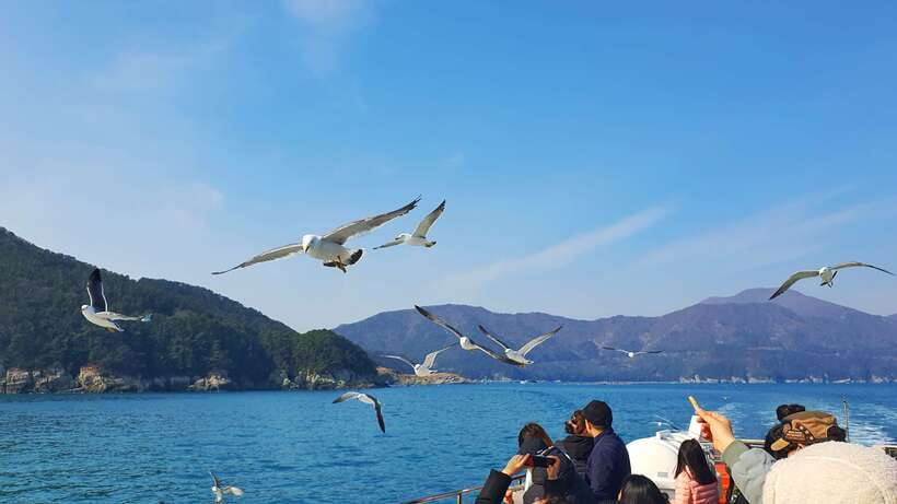 From Busan: Enchanting Oedo Island Day Tour with Windy Hill - The guides can make a crowded day easier