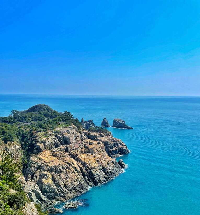 From Busan: Enchanting Oedo Island Day Tour with Windy Hill - The coach ride from Busan sets the pace