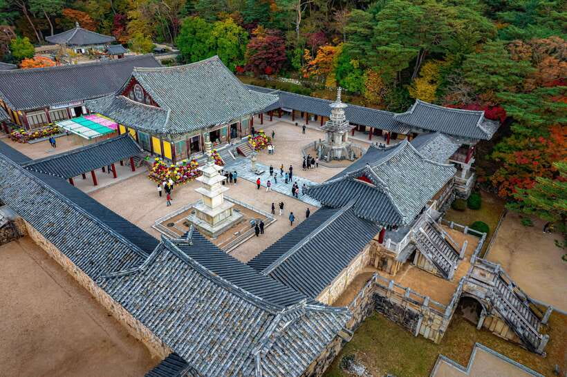 From Busan: Gyeongju Full-Day Historical Tour - Key points to know before booking