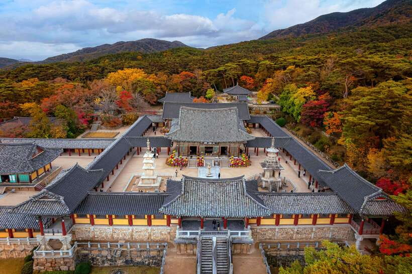 From Busan: Gyeongju Full-Day Historical Tour - Why Gyeongju makes a worthwhile day from Busan