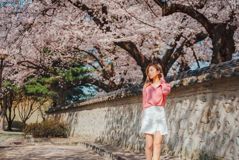 From Busan: Gyeongju Small Group Photo Tour & Hotel Pick-up - A short stop at Gyeongbuk Millennium Forest Gardens