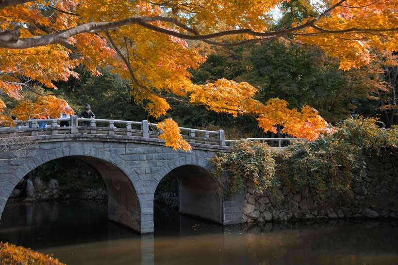 From Busan: Gyeongju UNESCO World Heritage Guided Day Tour - What Package C offers at the National Museum