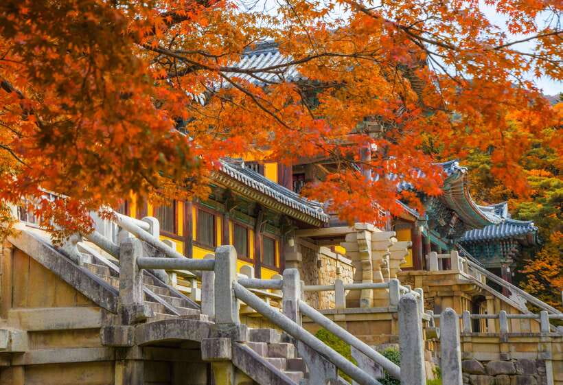 From Busan: Gyeongju UNESCO World Heritage Guided Day Tour - Why Gyeongju deserves a full day from Busan