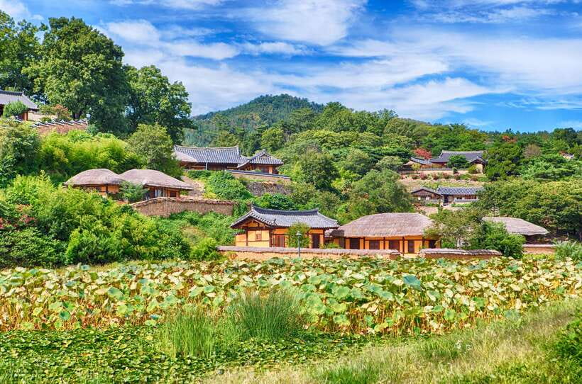 From Busan: Gyeongju UNESCO World Heritage Guided Day Tour - Daereungwon and the Silla royal tombs