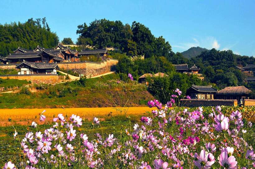 From Busan: Gyeongju UNESCO World Heritage Guided Day Tour - Donggung Palace and Wolji Pond
