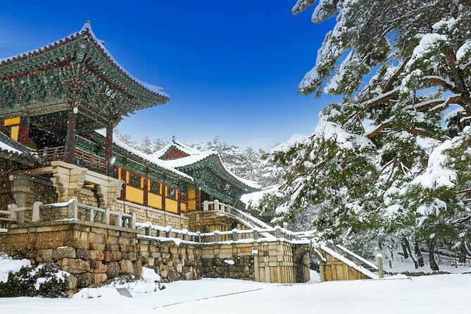 From Busan to Gyeongju UNESCO Legacy Tour with National Museum - Key points to know before booking