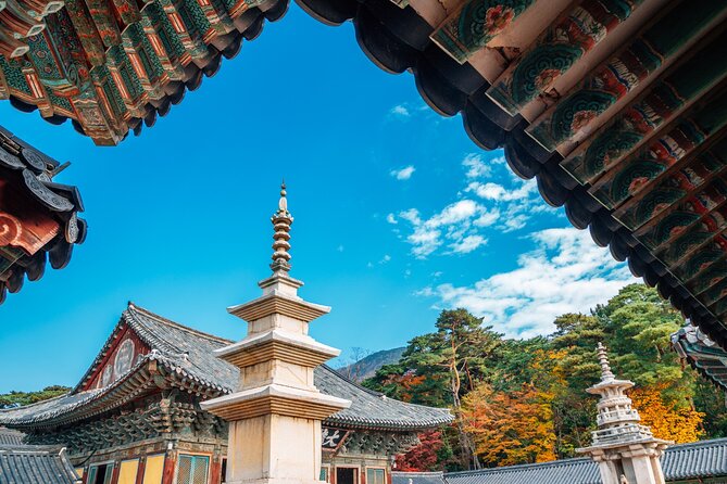From Busan to Gyeongju UNESCO Legacy Tour with National Museum - Ahopsan Forest and the first walk of the day
