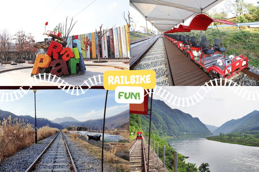 From Seoul: Full Day Trip to Alpaca Farm with Rail Bike - Why this Gangwon day trip works