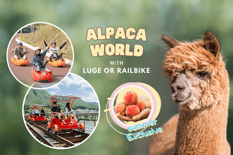 From Seoul: Full Day Trip to Alpaca Farm with Rail Bike - Gangchon Rail Park and the old railway route