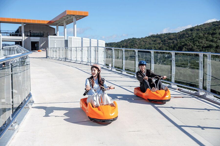 From Seoul: Full Day Trip to Alpaca Farm with Rail Bike - Alpaca World, the most charming stop