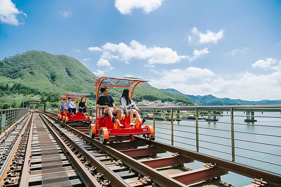 From Seoul: Full Day Trip to Alpaca Farm with Rail Bike - Lunch and the rhythm of the day