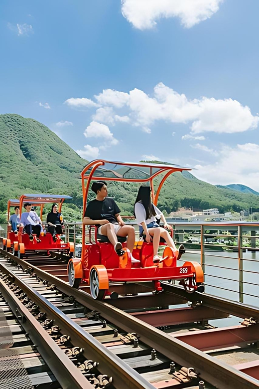From Seoul: Full Day Trip to Alpaca Farm with Rail Bike - Guide support and practical details