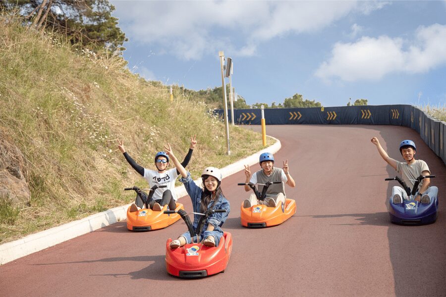 From Seoul: Full Day Trip to Alpaca Farm with Rail Bike - Who should book this day out?