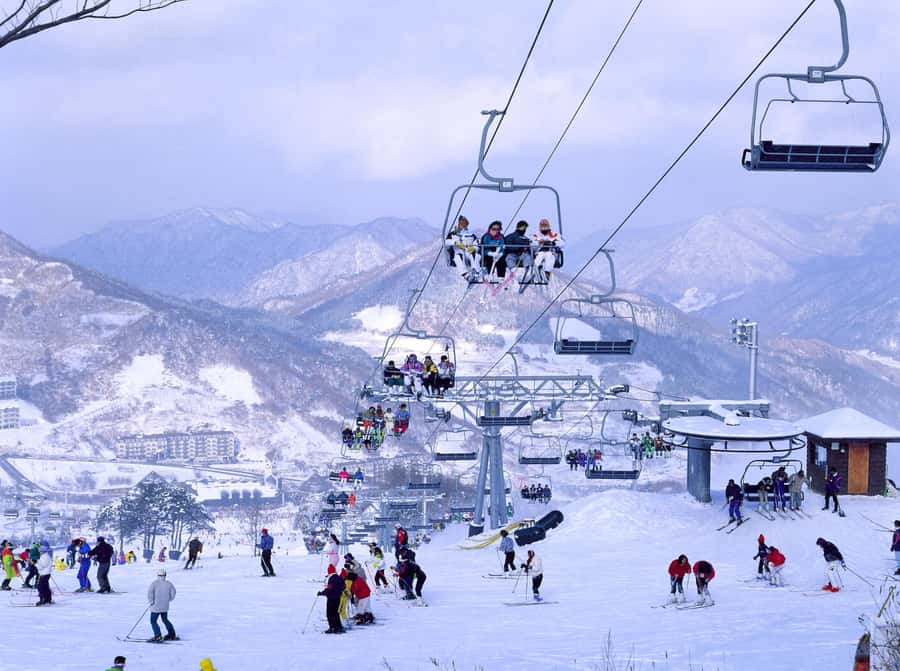 From Seoul: Korea Ski Tour - Jisan Forest Resort - Leaving Seoul before the city wakes