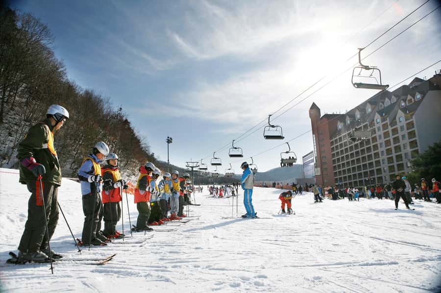 From Seoul: Korea Ski Tour - Jisan Forest Resort - What the 120-minute lesson really gives you