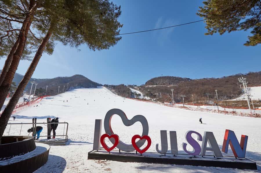 From Seoul: Korea Ski Tour - Jisan Forest Resort - Free time after class on the slopes