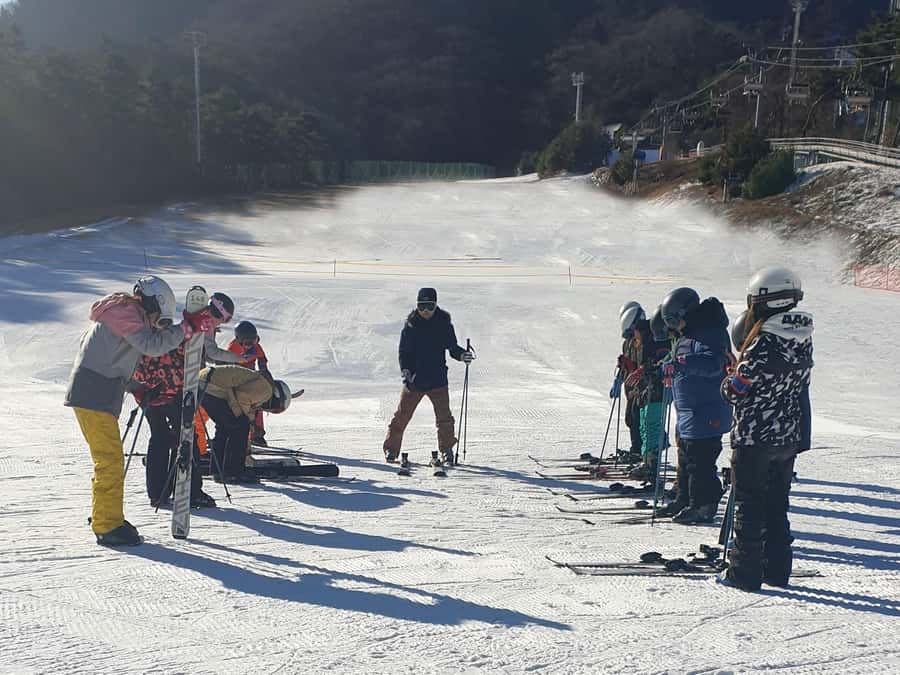 From Seoul: Korea Ski Tour - Jisan Forest Resort - Who will enjoy this day trip most