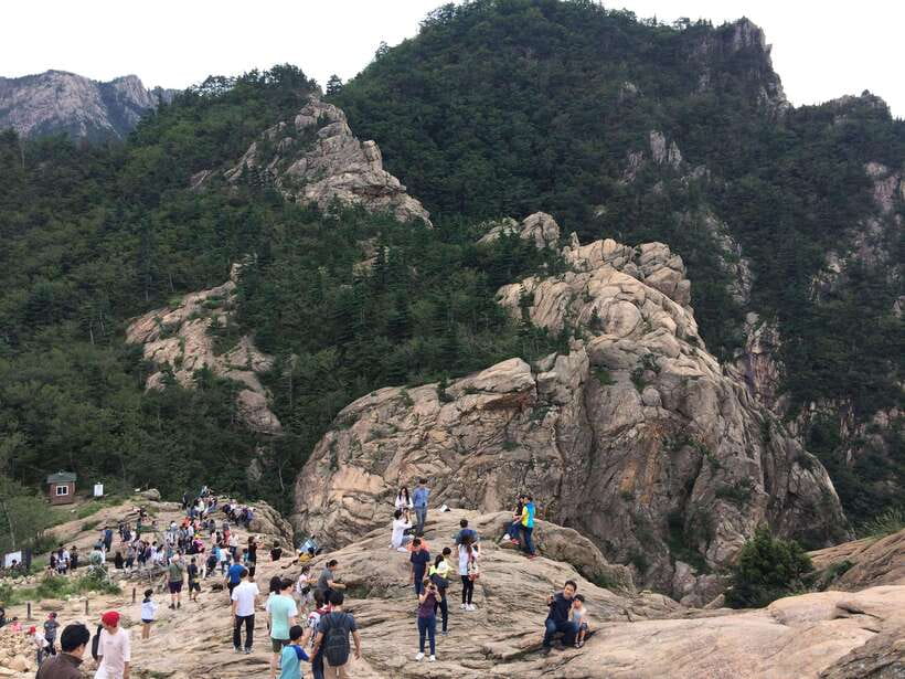 From Seoul: Korea Spring Cherry Blossom Day Tour - Yeongrangho and a slower walk by the lake