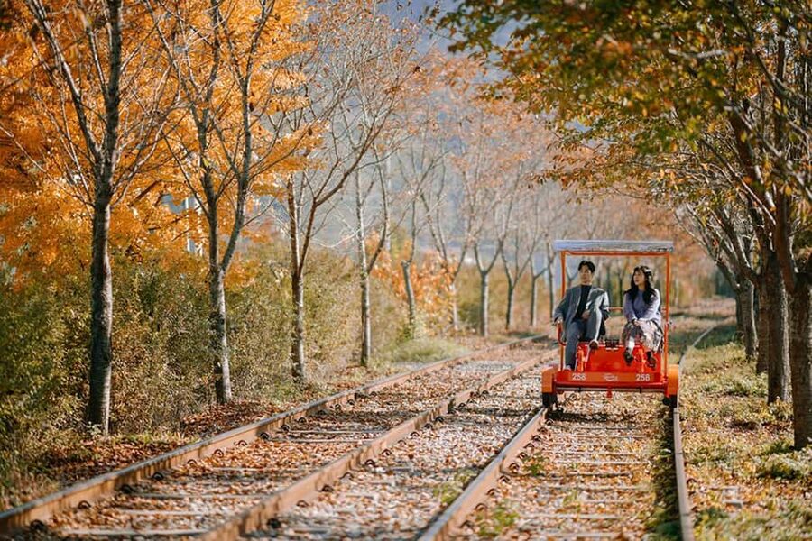 From Seoul: Nami Island, K-drama Garden & Rail Bike Day Tour - Three countryside highlights from Seoul in one day
