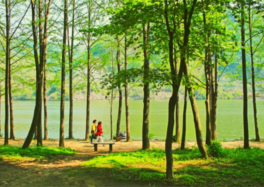 From Seoul: Nami Island, K-drama Garden & Rail Bike Day Tour - Gangchon Rail Park: the day’s most active half-hour